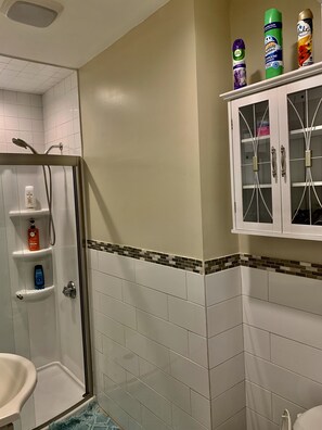 Shower, hair dryer, towels, soap