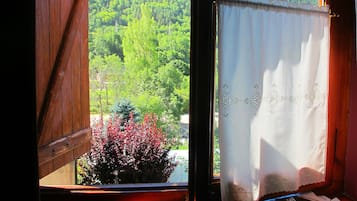 Basic Twin Room | View from room