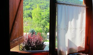 View from room - Hotel Colomers (Naut Aran)