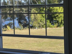 Una ventana con vista a un área verde y árboles.