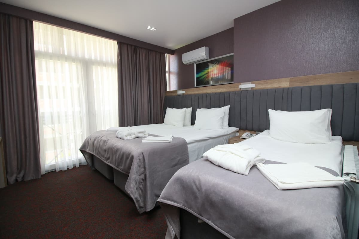 Een hotelkamer met twee bedden, een groot raam met gordijnen, een airconditioning en een schilderij aan de muur.