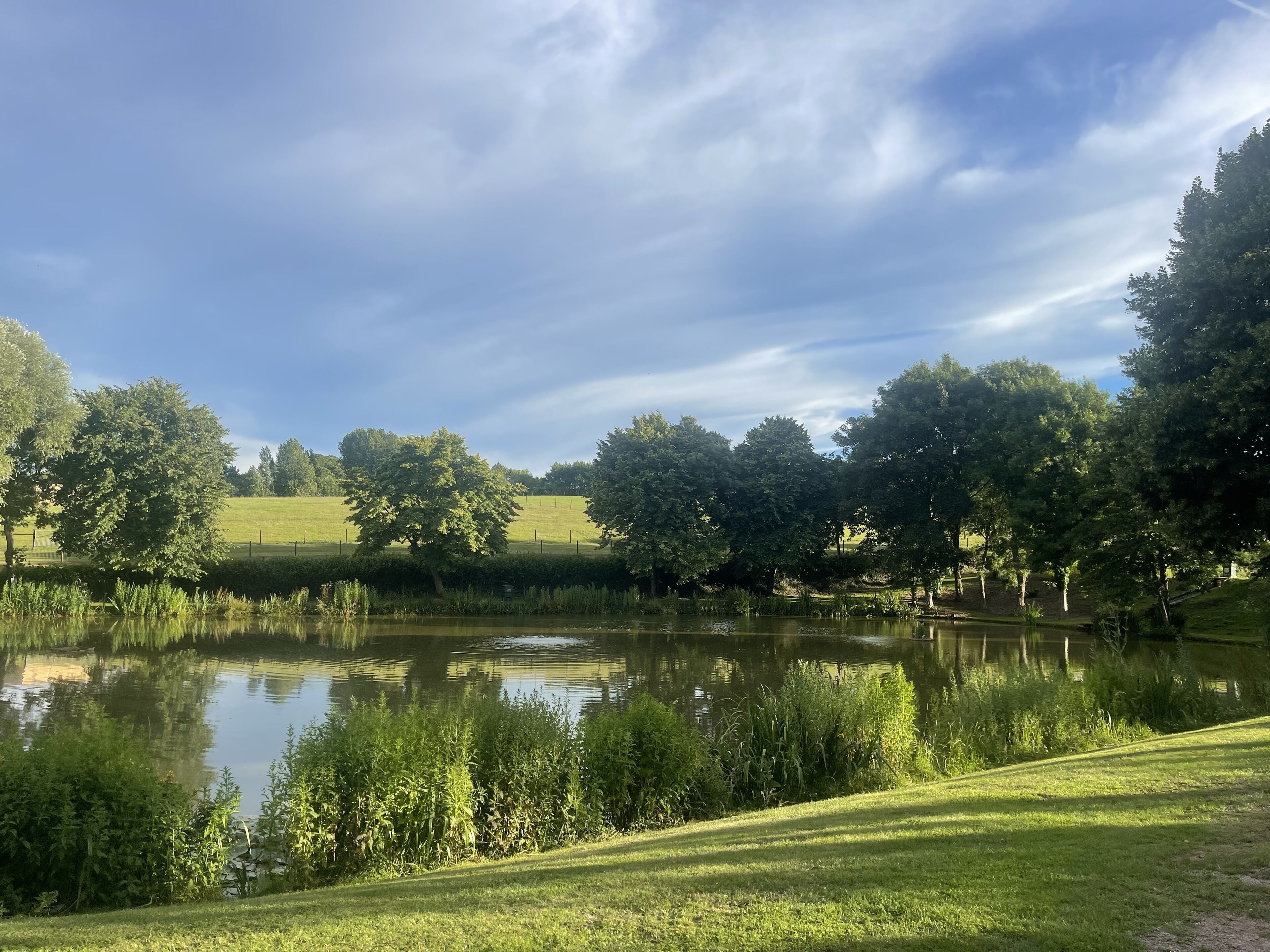 Un paisaje sereno con un estanque, abundante vegetación y cielo despejado.