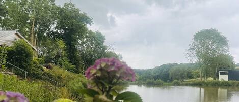 A serene lakeside view with lush greenery and a house in the background.