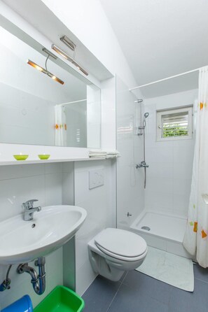 Departamento, 1 cama matrimonial y sofá cama | Baño | Regadera 