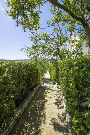 Căn hộ, nhiều giường | Khuôn viên nơi lưu trú