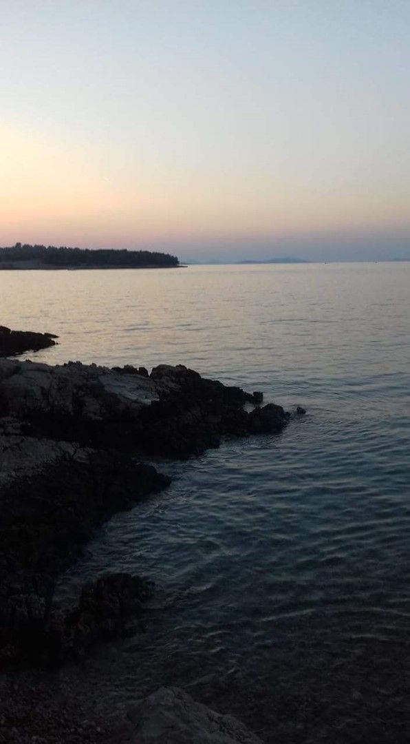 A coastal scene with calm water, rocky shoreline, and a distant landmass.