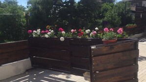 Property grounds - Villa Betiga (Vodnjan)