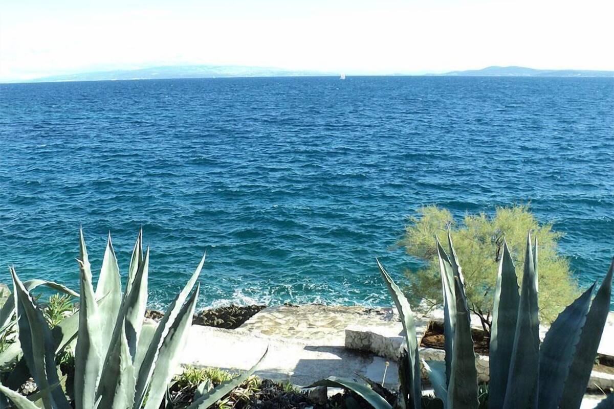 A coastal view with a clear sky, a calm sea, and agave plants in the foreground.