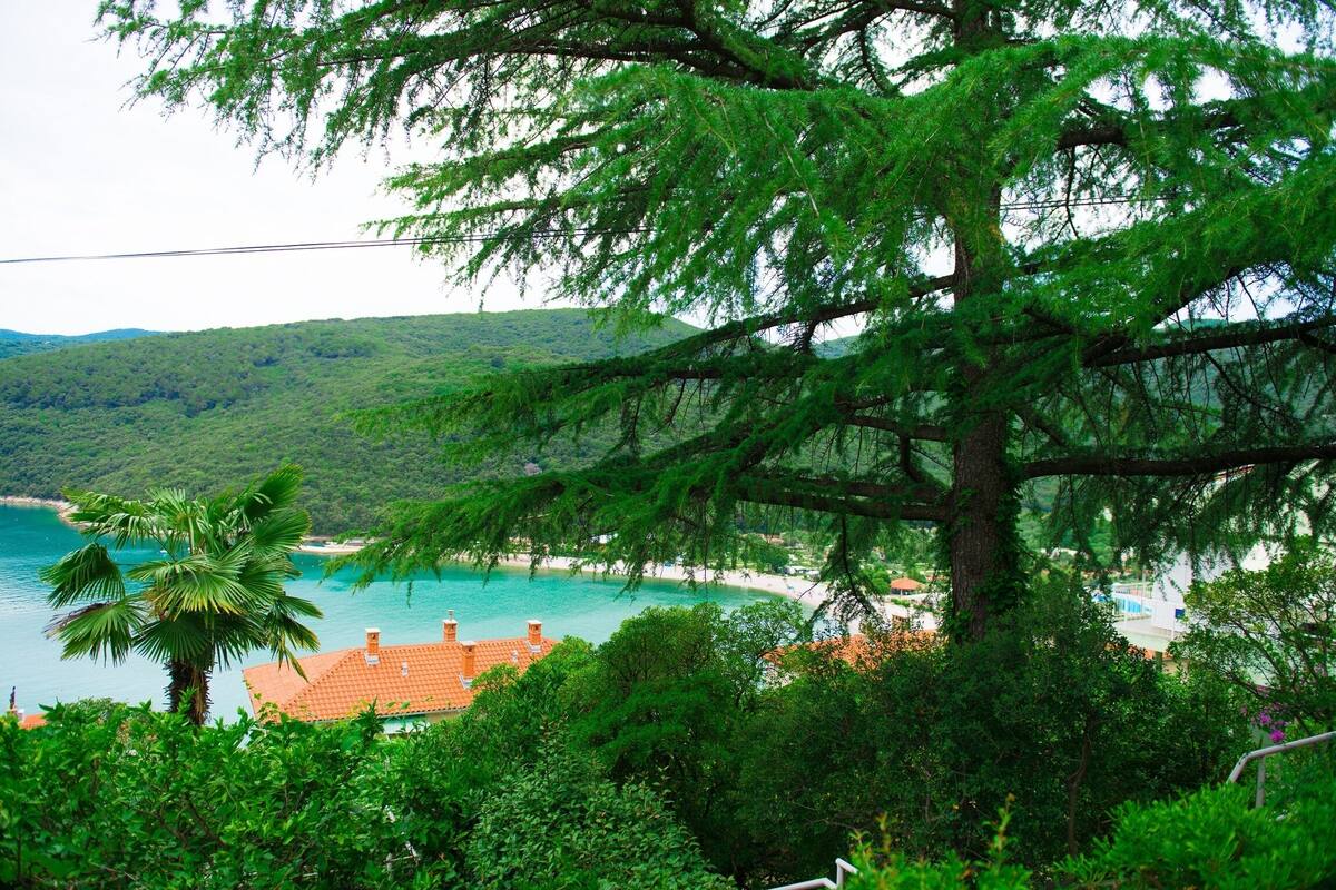Appartement, 1 lit double | Vue sur la plage ou l’océan