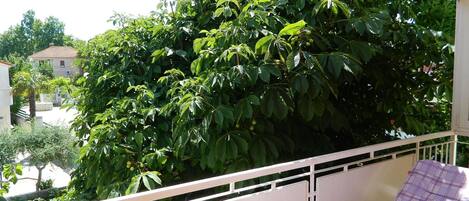 Apartment, Mehrere Betten | Balkon