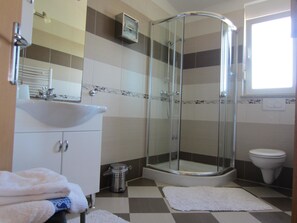 Departamento, 1 cama matrimonial y sofá cama | Baño | Regadera 