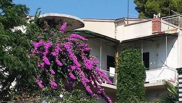 Apartment, Multiple Beds | Front of property