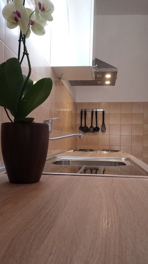 Private kitchen - Apartment Stegic / Two Bedrooms A1 (Tisno)