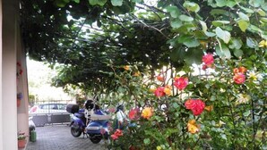 Apartment, Multiple Beds | Property grounds - Apartment Acimov A1 Two Bedrooms (Rovinj)