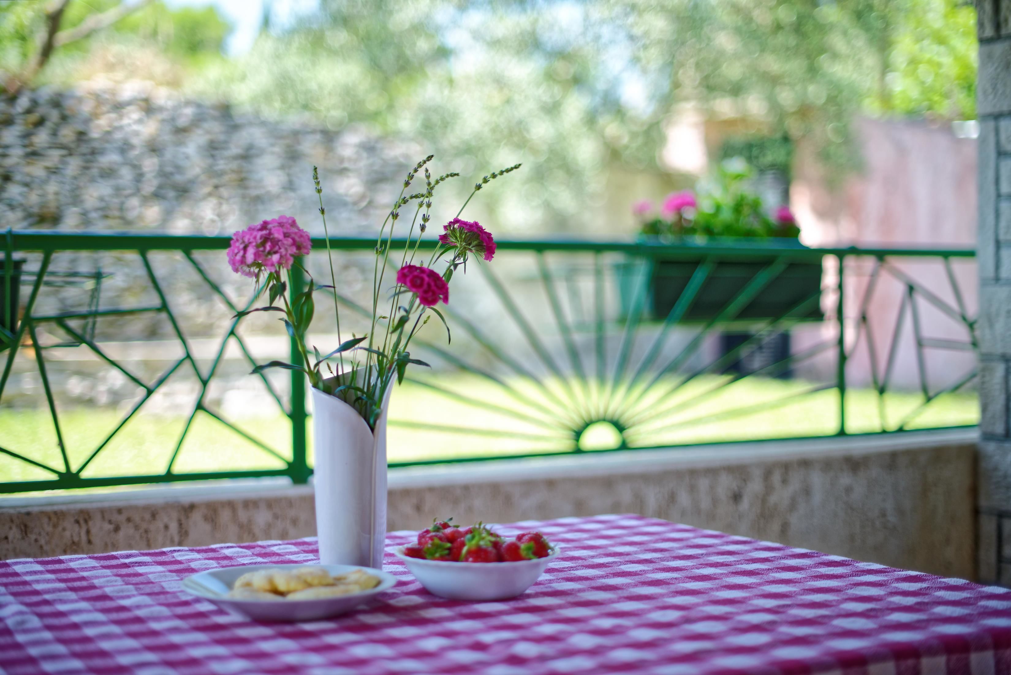 House, Multiple Beds | Terrace/patio