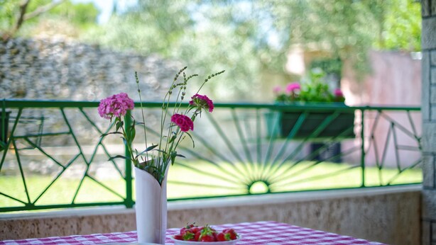 Ein Tisch mit kariertem Tischtuch, einer Vase mit rosa Blumen und einer Schüssel Erdbeeren.