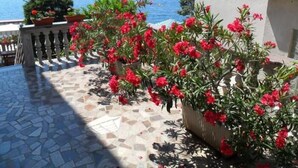 Apartment, 1 Double Bed with Sofa bed | Property grounds - Apartments Ahel (Crikvenica)