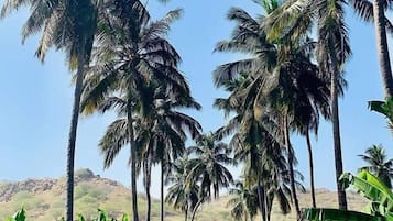 Ngoại thất