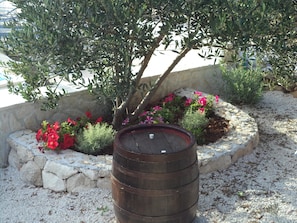 Apartment, Mehrere Betten | Unterkunftsgelände