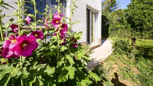 A garden with vibrant pink flowers in front of a house. - Apartments Konta (Kastela)