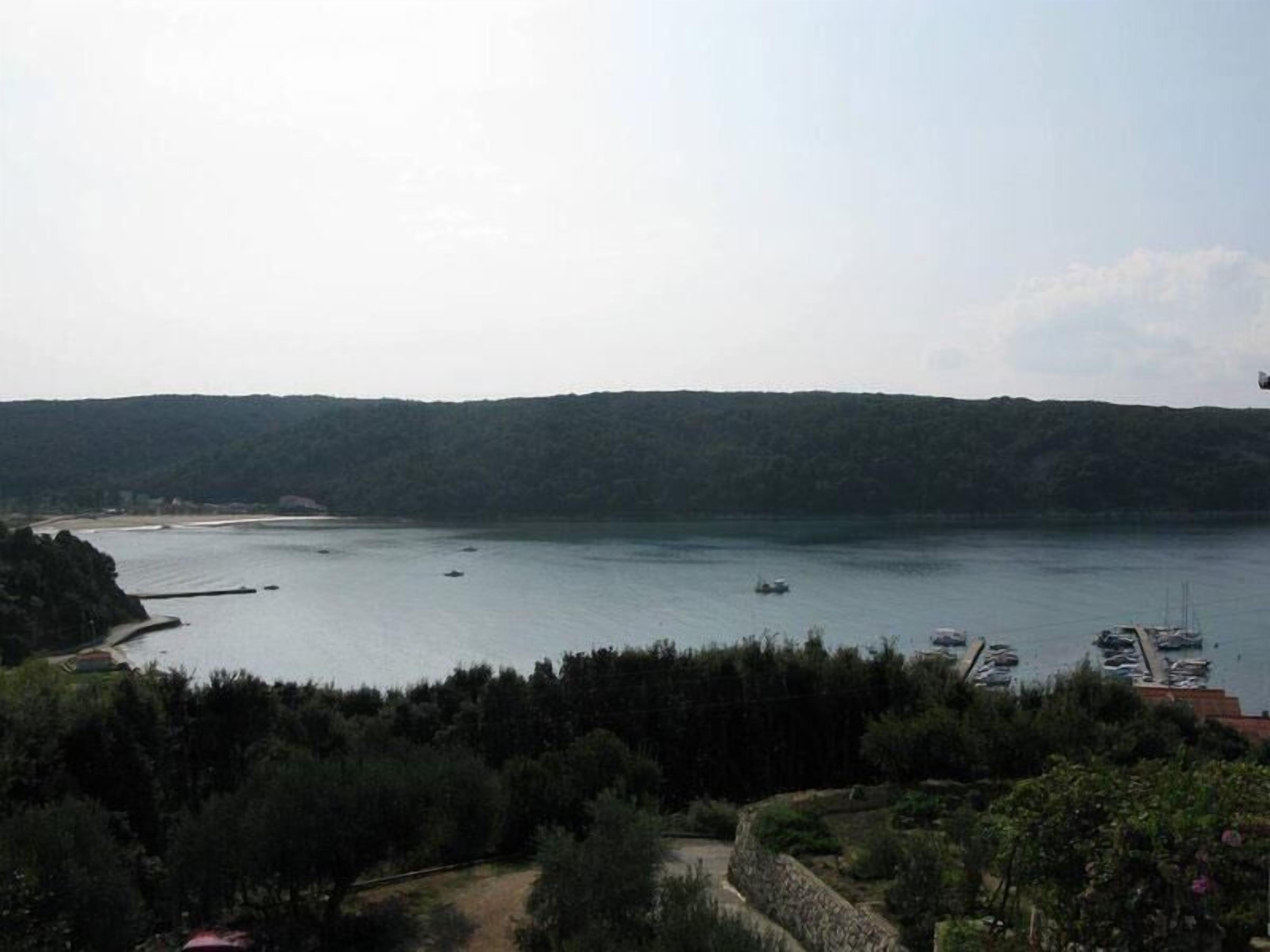 A coastal view with a marina, boats, and a forested hillside.