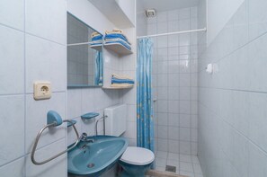 Appartement, 1 lit double et 1 canapé-lit | Salle de bain | Douche