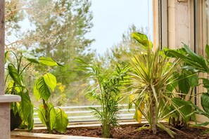 Apartment, Mehrere Betten | Unterkunftsgelände