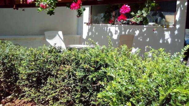 En patio med hvid stol og bord, omgivet af frodigt grønt og blomstrende planter.