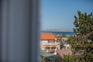 Apartment, 1 Double Bed with Sofa bed | Property grounds - Apartments Klarić Sabunike (Privlaka)