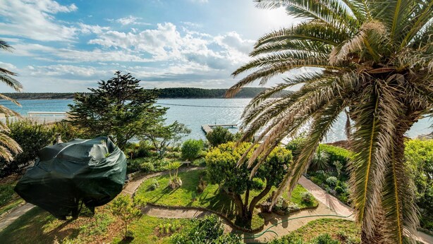 Property grounds - Rooms and Apartments Sabina (Rab)
