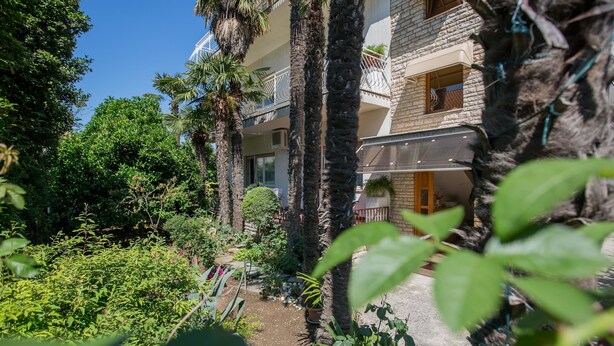 Un edificio de varios pisos con balcones, rodeado de exuberante vegetación y palmeras.