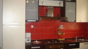 Apartamento, 1 cama de casal e sofá-cama | Cozinha privada | Geladeira, micro-ondas, fogão, cooktop