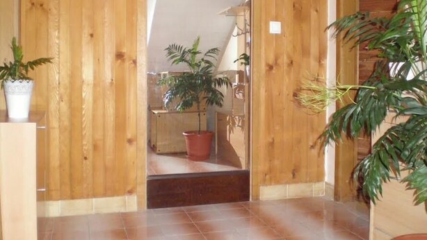 Ein Holzflur mit Topfpflanzen und gefliestem Boden.