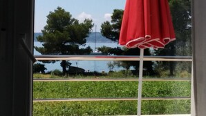 Vista desde la propiedad