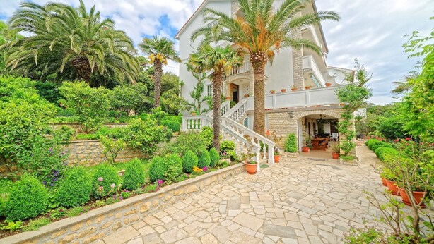 Apartment, 1 Double Bed with Sofa bed | Property grounds - Apartments Anica Kampor / One Bedroom A8 sea Side (Rab)