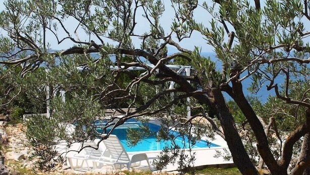 Zona de piscina con vista despejada al mar, rodeada de olivos y terreno rocoso.