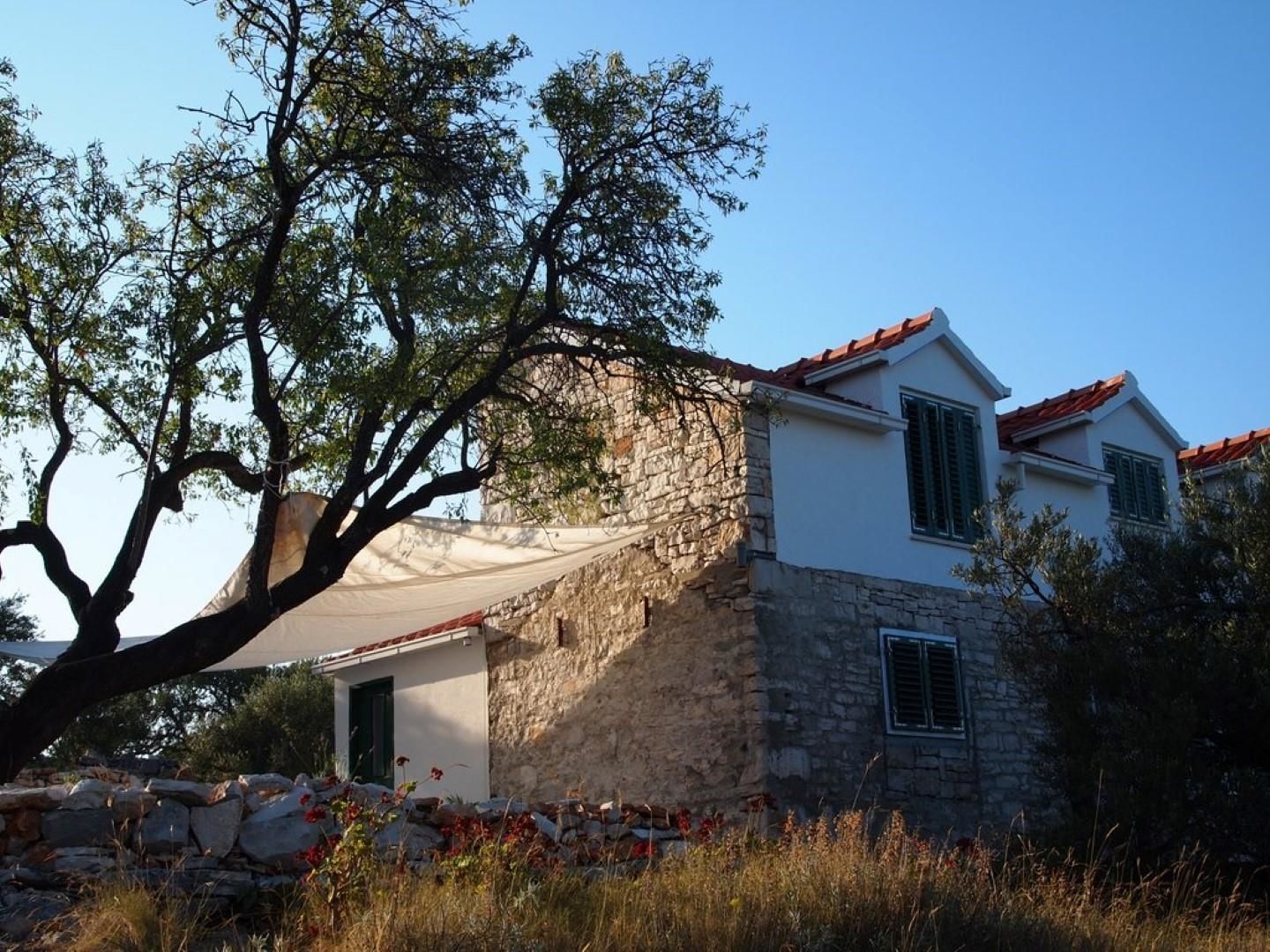 Une maison en pierre avec un toit recouvert de tuiles rouges, une façade blanche et un grand arbre au premier plan.