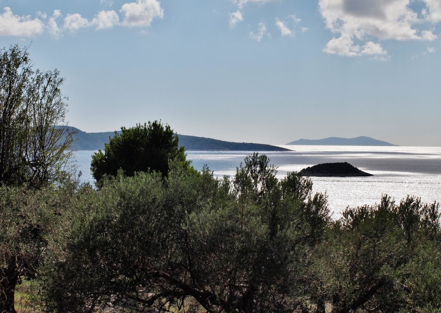 A coastal landscape with a clear view of the sea, distant hills, and dense shrubbery in the foreground.