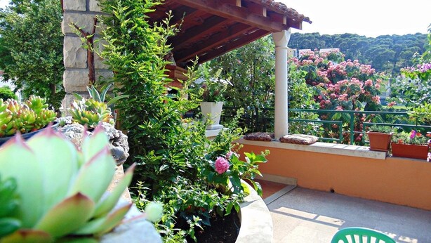 Apartment, 2 Double Beds | Property grounds - Apartments Akacija / Two Bedrooms (Postira)