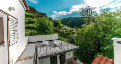 Holiday House Predrag