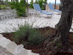 Apartment, Multiple Beds | Property grounds