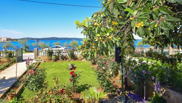 A garden with a variety of plants and flowers, a clear blue sky, and a view of the sea. - Holiday House Anica (Bibinje)