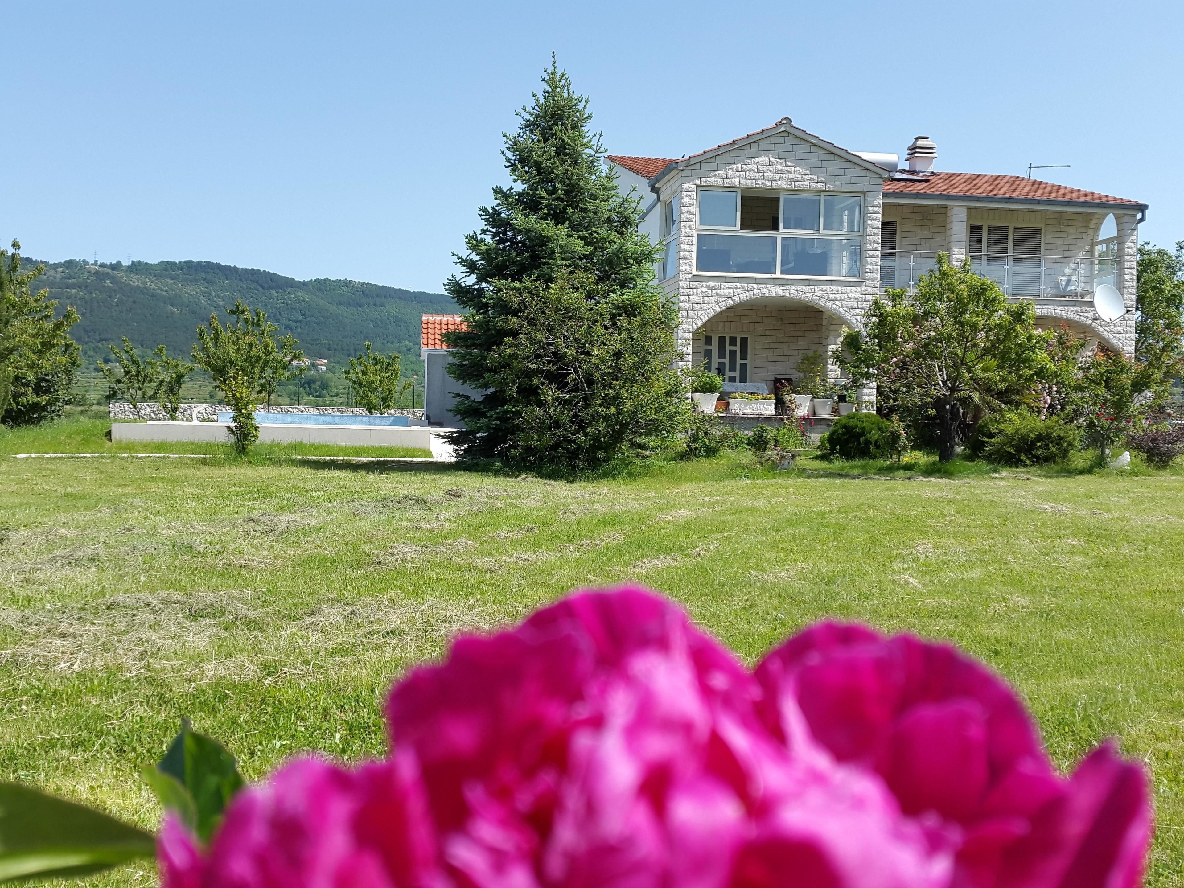 واجهة المنشأة