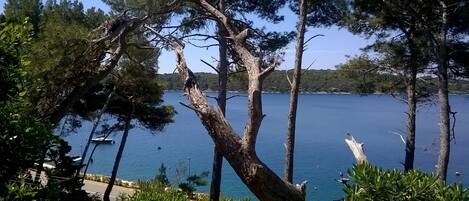 Apartment, 1 Double Bed | Lake