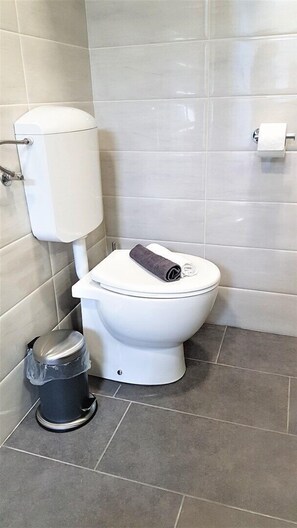 Bathroom - Apartment Kokolo (Buzet)