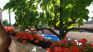 House, Multiple Beds | Front of property - Holiday House Neda (Rogoznica)