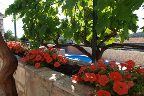 ハウス ベッド (複数台) | 施設の正面