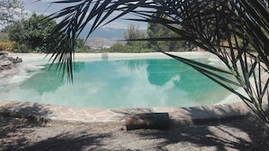 A clear swimming pool with a stone border, surrounded by greenery and a mountainous backdrop. - Apartment in rural property (Coín)