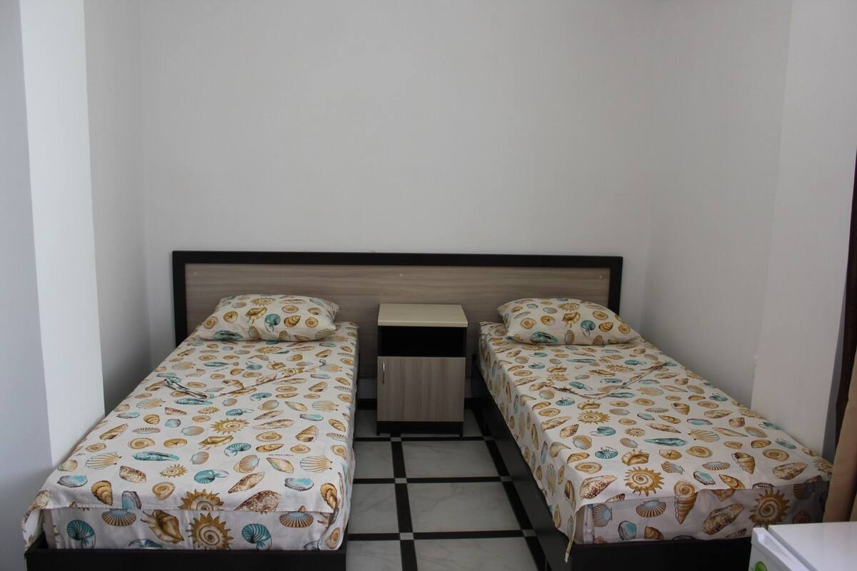 Chambre Confort avec lits jumeaux, 2 lits une place | Wi-Fi gratuit