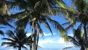 A beach with palm trees and a view of the ocean. - Coconut Beach Homestay (Beinan)